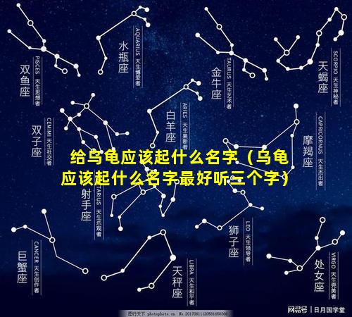 给乌龟应该起什么名字（乌龟应该起什么名字最好听三个字）