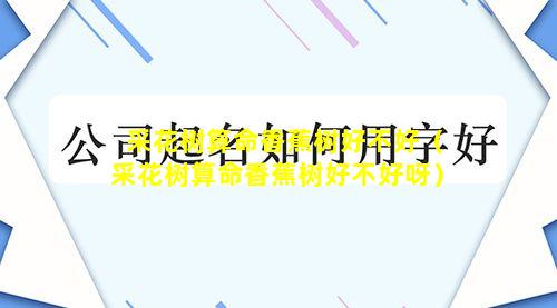 采花树算命香蕉树好不好（采花树算命香蕉树好不好呀）